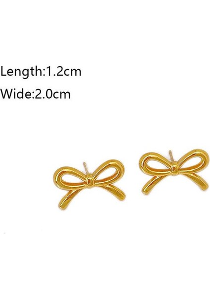 24ŞIK ve Hafif, Lüks Paslanmaz Çelik Kadın Küpeleri (Yurt Dışından) fiyatları