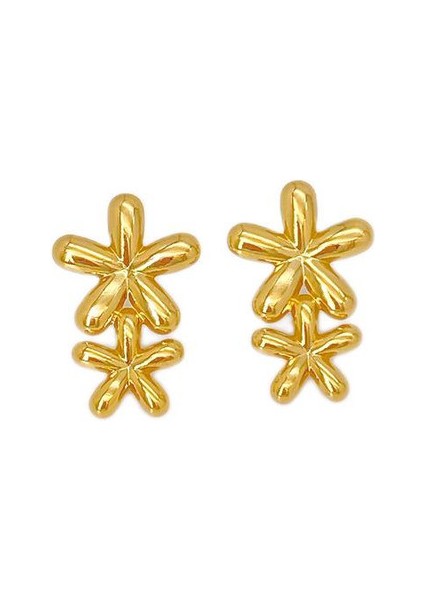 30ŞIK ve Hafif, Lüks Paslanmaz Çelik Kadın Küpeleri (Yurt Dışından)