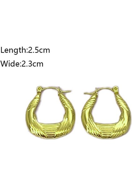 36 Fransız Vintage Paslanmaz Çelik Kadın Küpe Modeli (Yurt Dışından) fiyatları