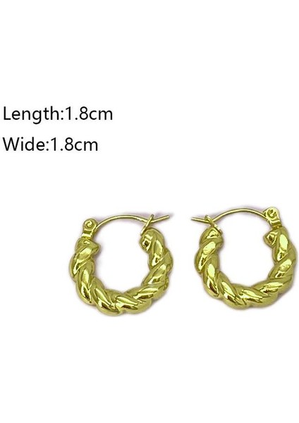 06 Fransız Vintage Paslanmaz Çelik Kadın Küpe Modeli (Yurt Dışından) fiyatları