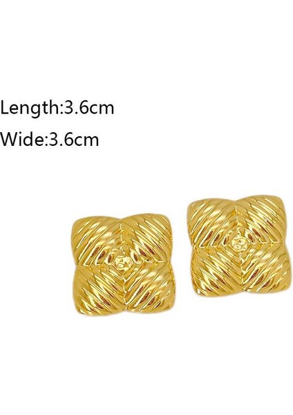 72ŞIK ve Hafif, Lüks Paslanmaz Çelik Kadın Küpeleri (Yurt Dışından) fiyatları