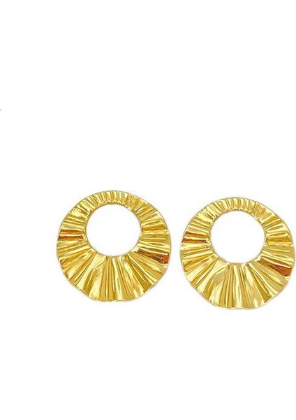 49ŞIK ve Hafif, Lüks Paslanmaz Çelik Kadın Küpeleri (Yurt Dışından)