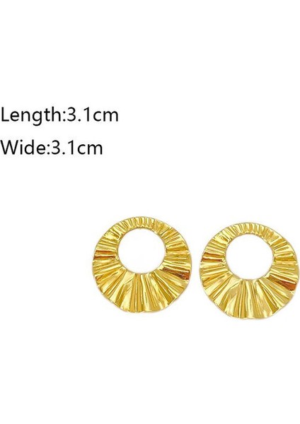 49ŞIK ve Hafif, Lüks Paslanmaz Çelik Kadın Küpeleri (Yurt Dışından) fiyatları