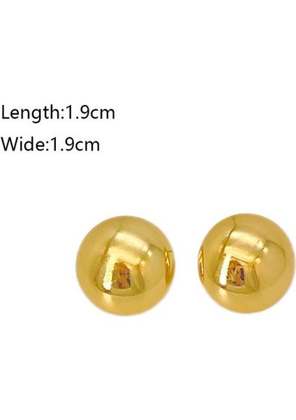 41ŞIK ve Hafif, Lüks Paslanmaz Çelik Kadın Küpeleri (Yurt Dışından) fiyatları