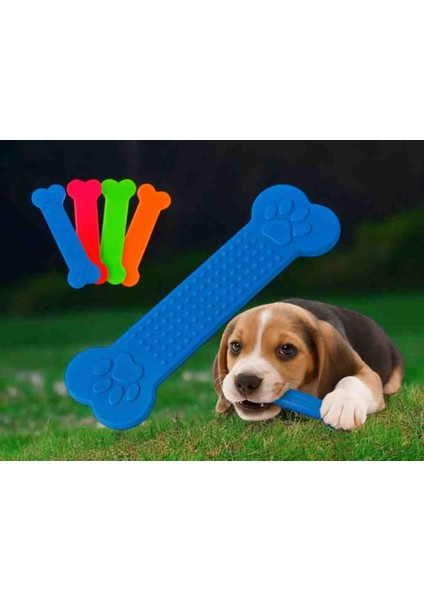 Köpek Diş Kaşıyıcı,kemirici , Çiğneme Kemiği