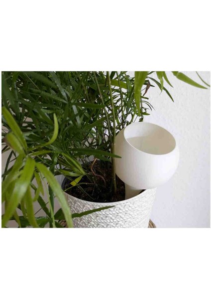 Damlatma Suluk,çiçek Sulama,