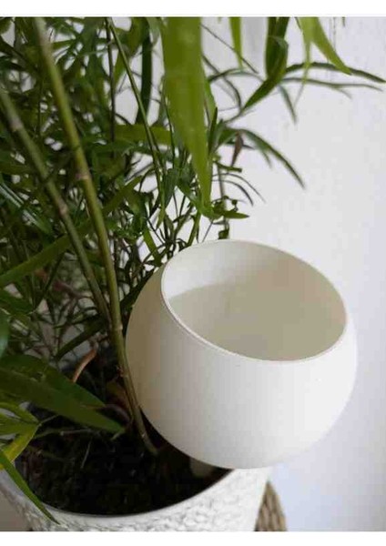 Damlatma Suluk,çiçek Sulama, modelleri