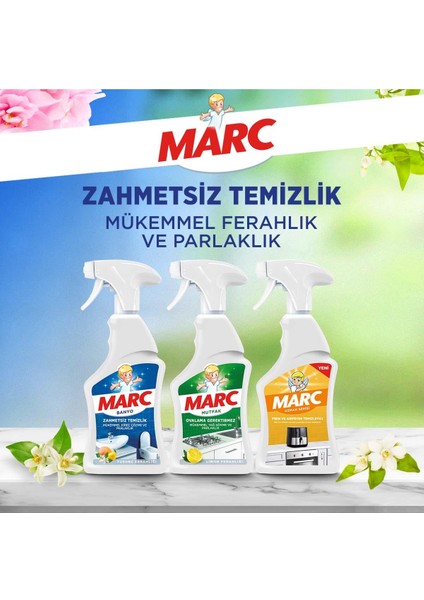 Banyo + Mutfak + Airfryer Sprey 3X750 ml modelleri