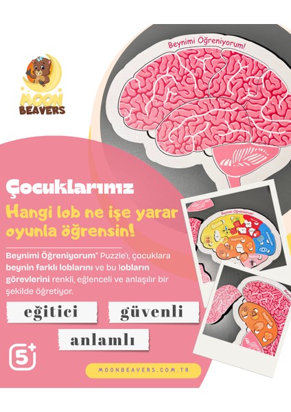 Beynimiz Ahşap Öğrenme Seti – Çocuklar İçin Beyin Yapısını Keşfetme ve Parça Birleştirme Oyunu
