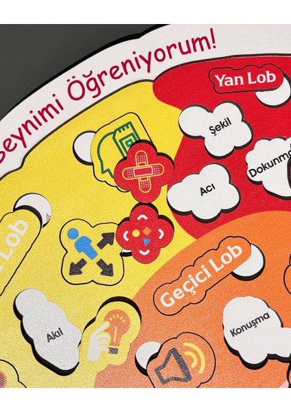 Beynimiz Ahşap Öğrenme Seti – Çocuklar İçin Beyin Yapısını Keşfetme ve Parça Birleştirme Oyunu