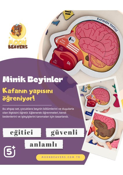 Kafamızın Yapısını Öğreten Eğitici Ahşap Set | Çocuklar İçin Bedenimizi Tanıma Oyuncağı