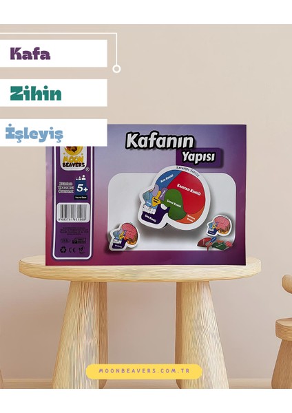 Kafamızın Yapısını Öğreten Eğitici Ahşap Set | Çocuklar İçin Bedenimizi Tanıma Oyuncağı fiyatları