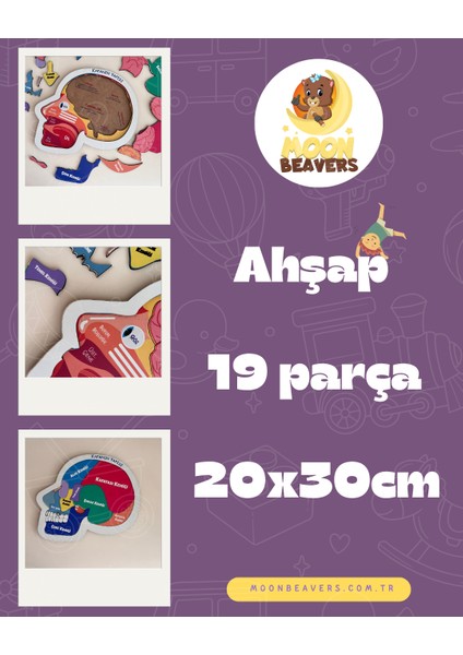 Kafamızın Yapısını Öğreten Eğitici Ahşap Set | Çocuklar İçin Bedenimizi Tanıma Oyuncağı fırsatları