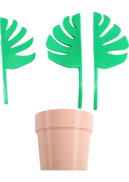 Ayna Duvar Montajı Monstera Duvar Montajı Banyo Depolama Rafı Mücevher ve Saat Tutucu Diş Fırçası Tutucu (Yurt Dışından)