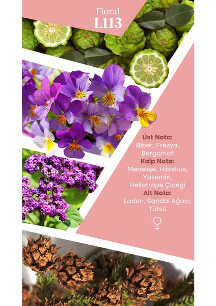 Mad L113 Selective 50 ml Kadın Parfüm fırsatları