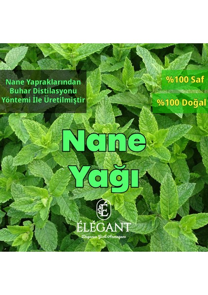 Nane Yağı 10 ml fiyatları