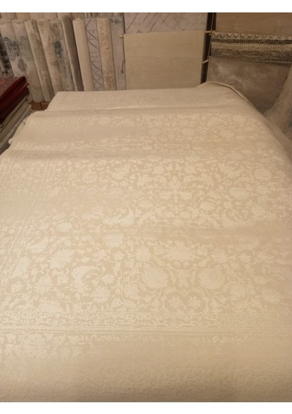 Beauty 240X340 fiyatları