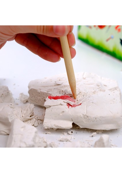 Eğitici Fosil Kazı Kiti - (Fossil Excavation Kit) fiyatları