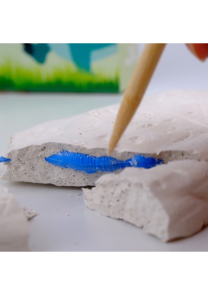 Eğitici Fosil Kazı Kiti - (Fossil Excavation Kit)