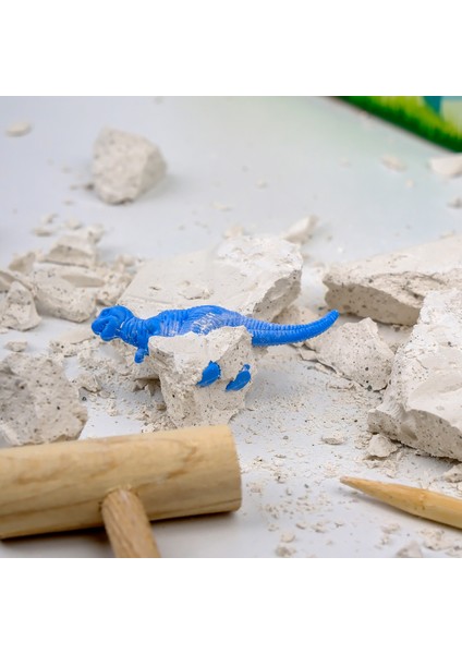 Eğitici Fosil Kazı Kiti - (Fossil Excavation Kit)