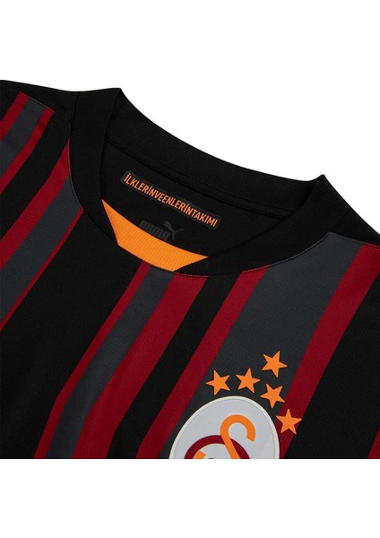 Orijinal 2024/25 Alternatif Siyah Forma Aslan Baskılı Hediyelik Ahşap Kutulu indirimleri