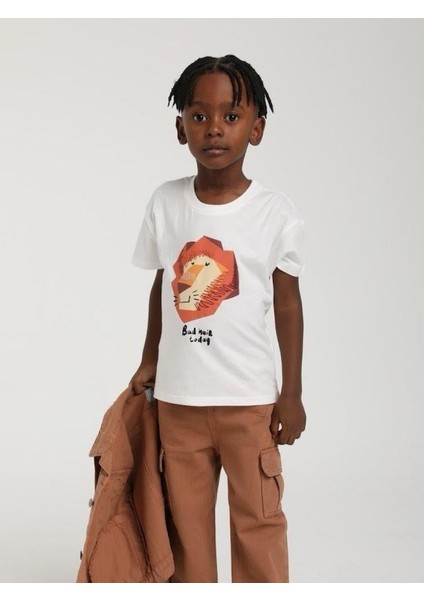 Erkek Çocuk Aslan Baskılı Pamuklu T-Shirt modelleri