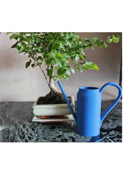 Mavi Çiçek Sulama Kabı