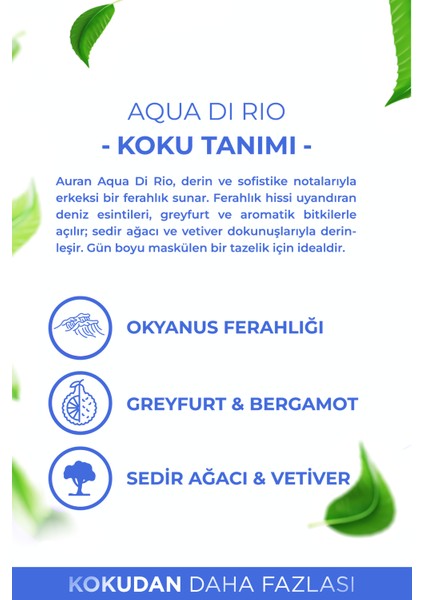 Aqua Di Rio Parfümlü Erkek Vücut Spreyi Ferahlatıcı ve Etkileyici Vücut Misti Body Mist Spray 150ML modelleri