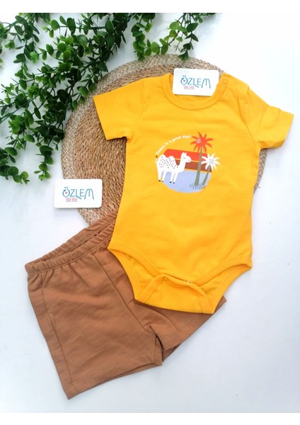 Matei Deve Figürlü 2'li Takım Sarı - 3-6 Ay