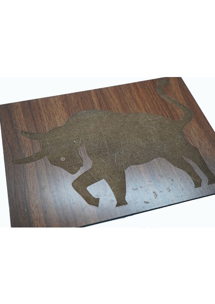 Çocuklar Için Eğitici ve Öğretici Ahşap Yapboz Puzzle Bul Tak Birleştirme Boğa Renkli modelleri