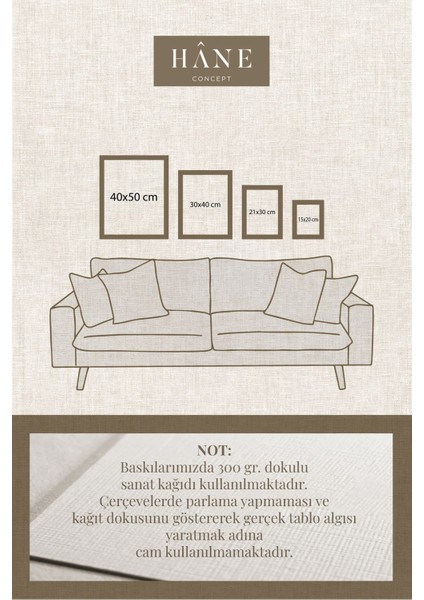 Pembe Gül Desenli Çerçeveli Sanatsal Tablo, Galeri Duvar Dekoru fiyatları