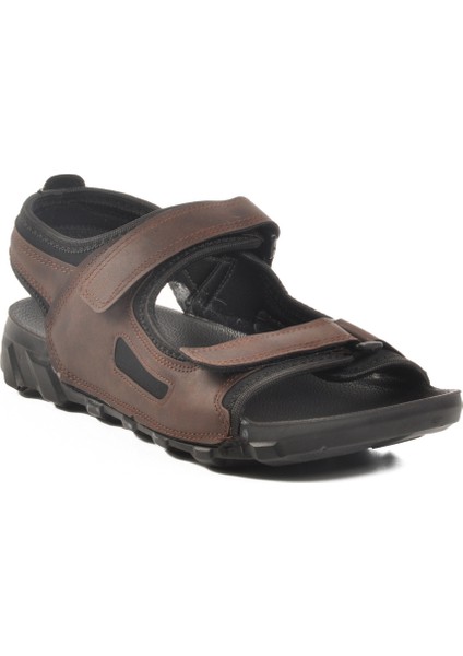 Kahve Cırtlı Erkek Spor Sandalet PC-7242 M modelleri