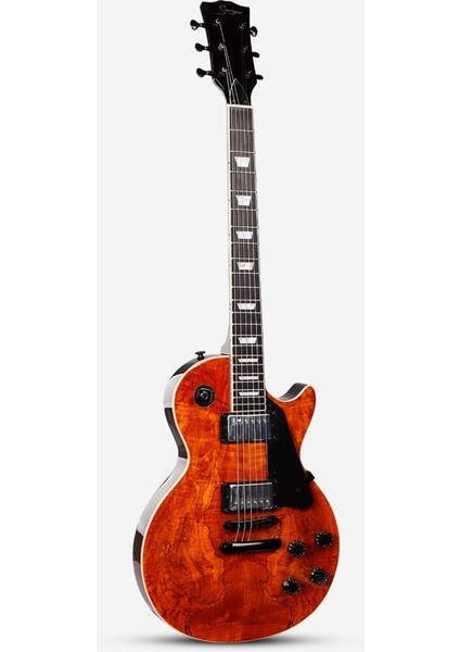Les Paul Elektro Gitar L-G9-P2