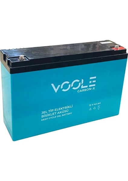 Vole 12V 42 Ah Elektrikli Bisiklet Aküsü Deep Cycle Gel Battery Carbon-X (265*80*170) (10,3 Kg)