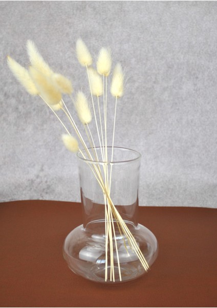 Mantar Cam Vazo 12 Cm- 1 Adet