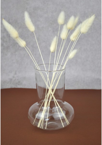 Mantar Cam Vazo 12 Cm- 1 Adet fiyatları