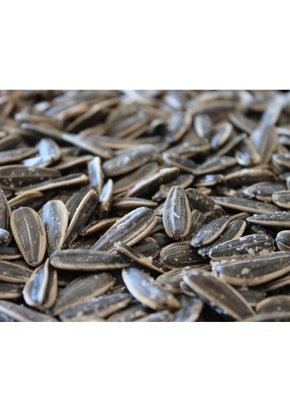 Tuzlu Çekirdek - 1 kg