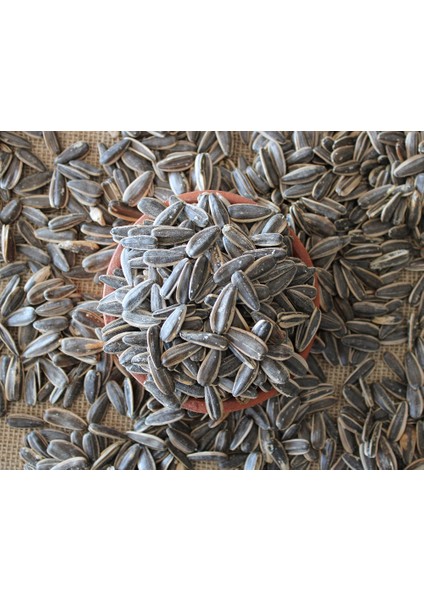 Tuzlu Çekirdek - 1 kg fiyatları