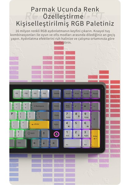 AK980 Daydream Switch Kablolu Mekanik Oyun Klavyesi- Rgb Aydınlatmalı- Siyah