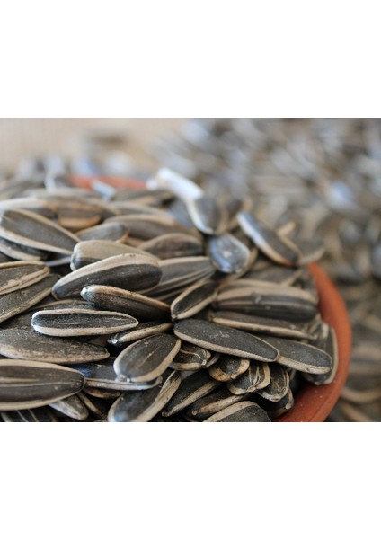 Tuzsuz Çekirdek - 1 kg