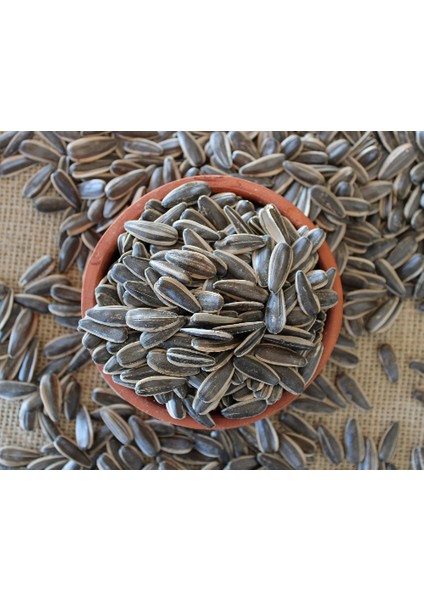 Tuzsuz Çekirdek - 1 kg fiyatları