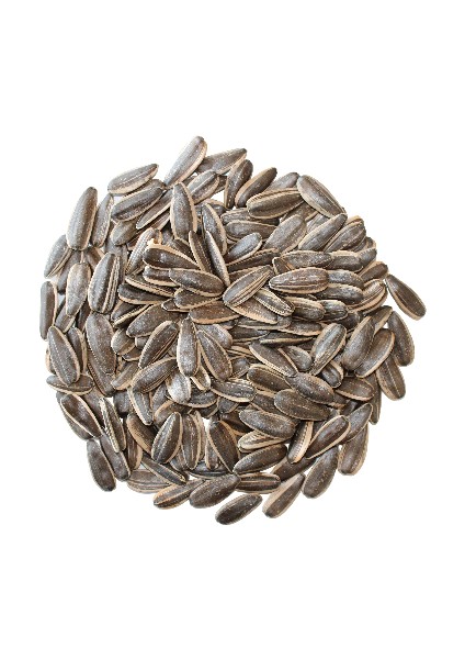 Tuzsuz Çekirdek - 1 kg fırsatları