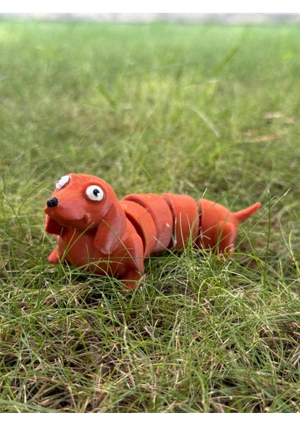 Eklemli Sosis Köpek