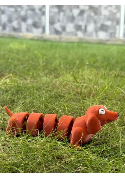 Eklemli Sosis Köpek modelleri