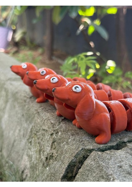 Eklemli Sosis Köpek fırsatları