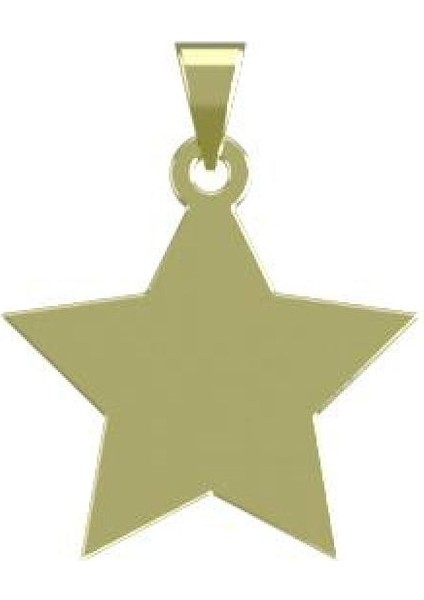 14 Ayar Altın Yıldız Kolye Ucu 0.5 Gr, KC15483 Kodlu