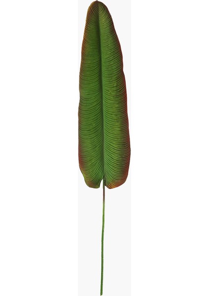Cennet Kuşu Yaprak Dal 125 cm