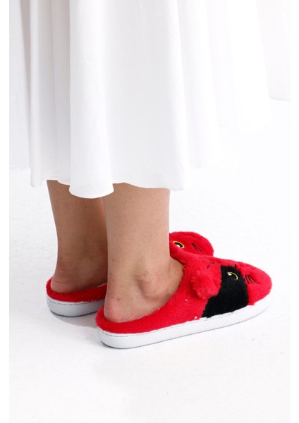 Caty Peluş Kadın Ev Terliği fırsatları