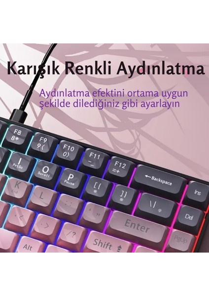 AK680 Kablolu %65 Boy Mekanik Oyuncu Klavyesi-Rainbow Aydınlatma Hot-Swap