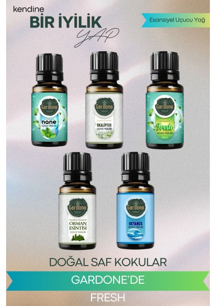5'li Set Esansiyel Uçucu Yağ Nane Fresh Okaliptus Orman Esintisi Okyanus